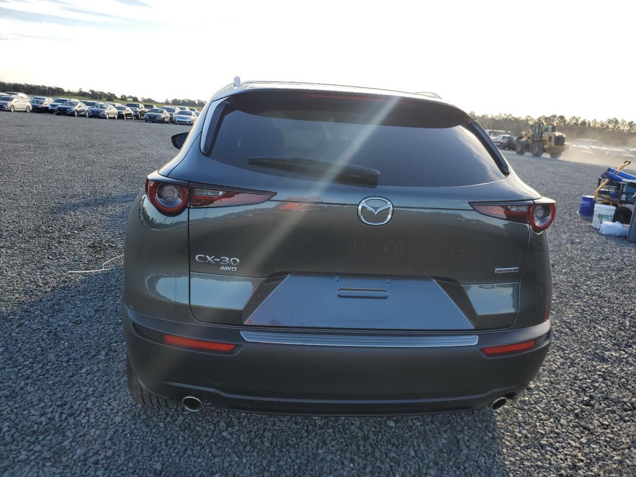 2024 Mazda CX-30 VIN 3MVDMBCM7RM643342 Copart auction photo, water/flood damage thumbnail 6