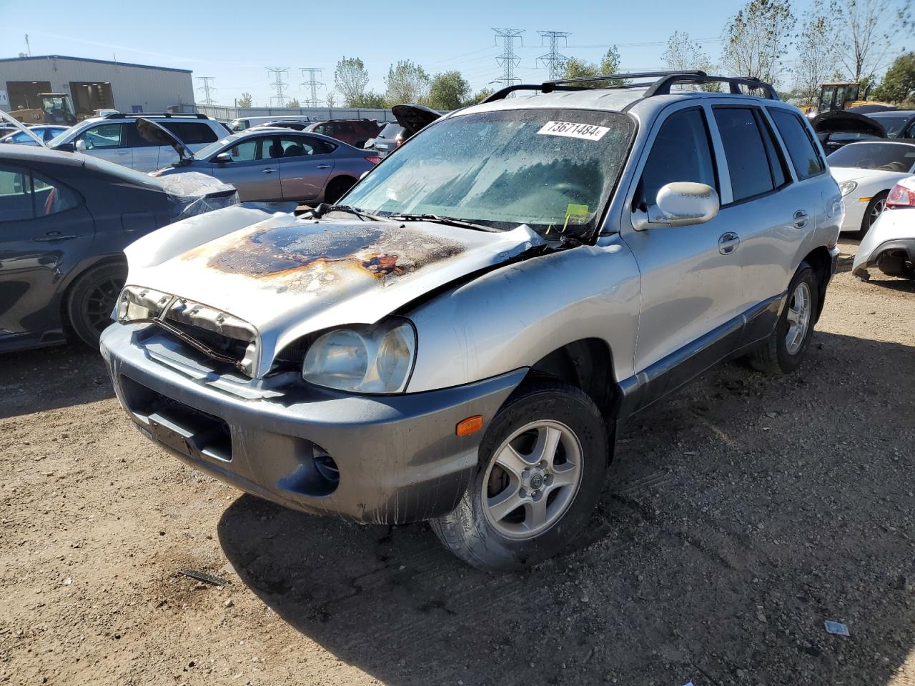 2003 Hyundai Santa Fe VIN KM8SB12B13U405056