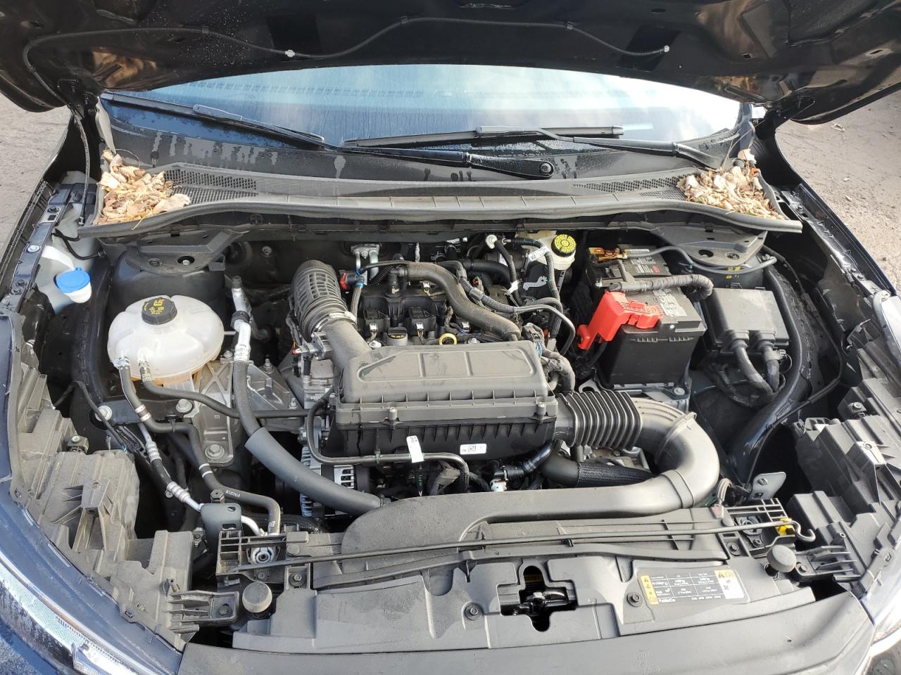 2023 Ford Escape VIN 1FMCU0GN8PUA12415 Copart auction photo, side damage thumbnail 13