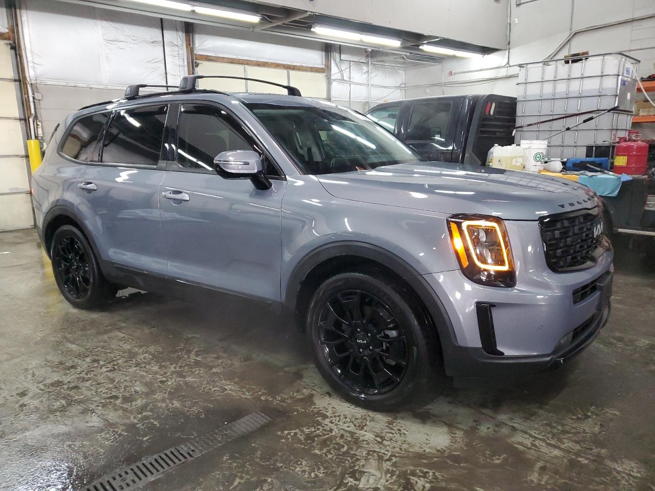 2022 KIA Telluride VIN 5XYP5DHC9NG294165 Copart auction photo, side damage thumbnail 4
