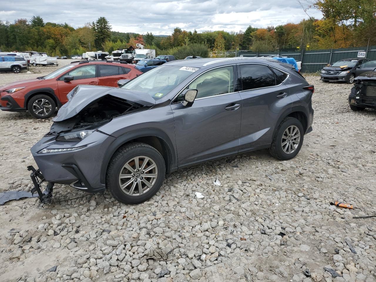 2021 Lexus NX VIN JTJDARDZ4M2236556