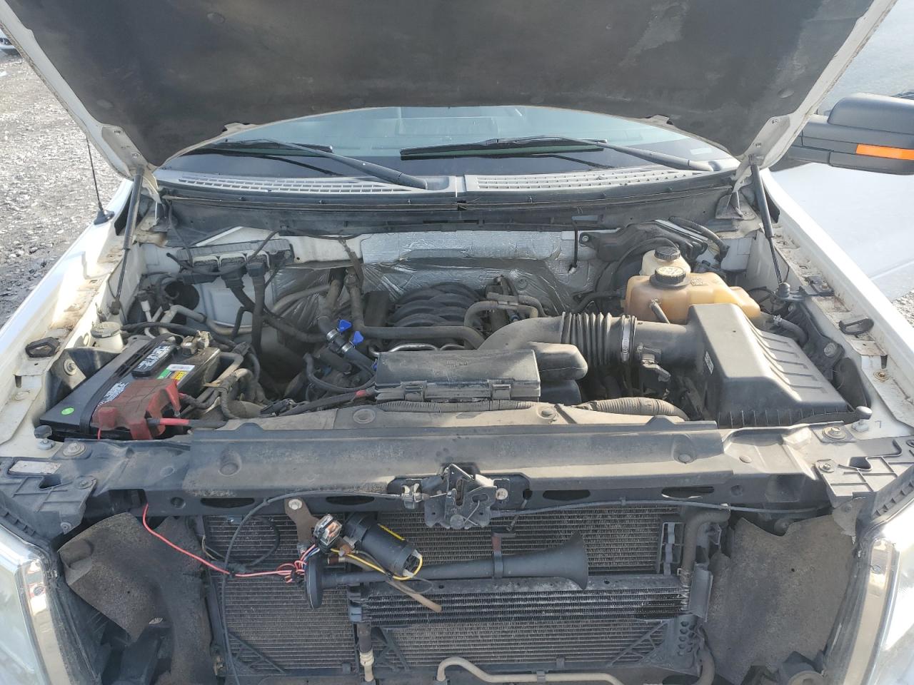 2013 Ford F-150 VIN 1FTFW1EF6DFC13825 Copart auction photo, rear end / side damage thumbnail 12