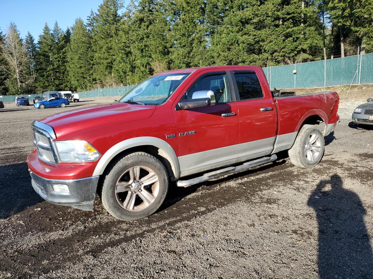 2010 Dodge RAM VIN 1D7RV1GT8AS124446