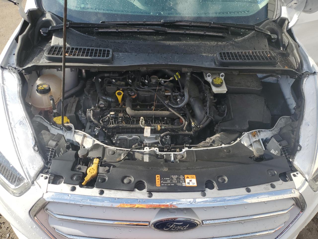 2019 Ford Escape VIN 1FMCU0HD2KUC19798 Copart auction photo, side damage thumbnail 12