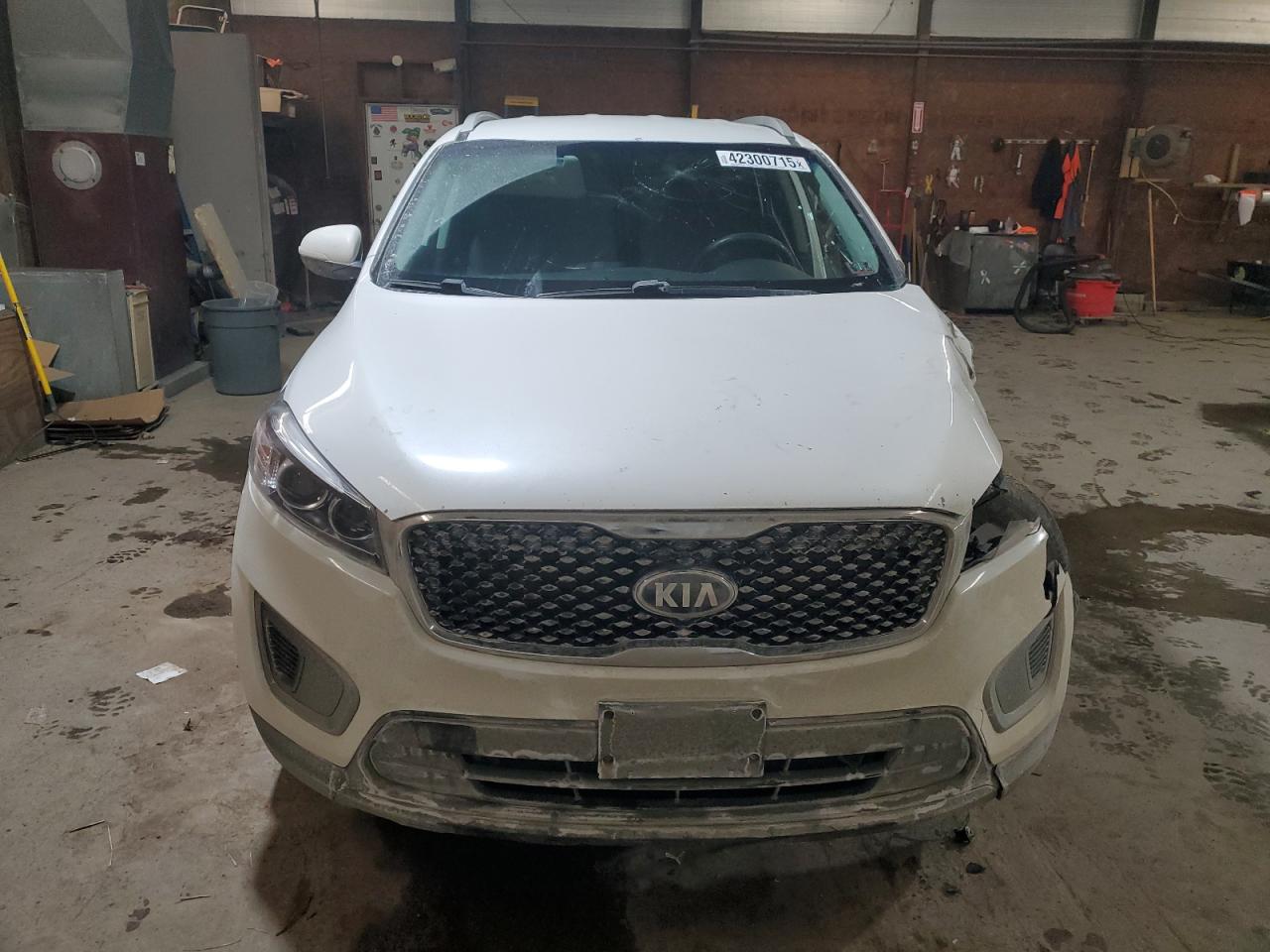2016 KIA Sorento VIN 5XYPGDA37GG149648 Copart auction photo, all over damage thumbnail 5