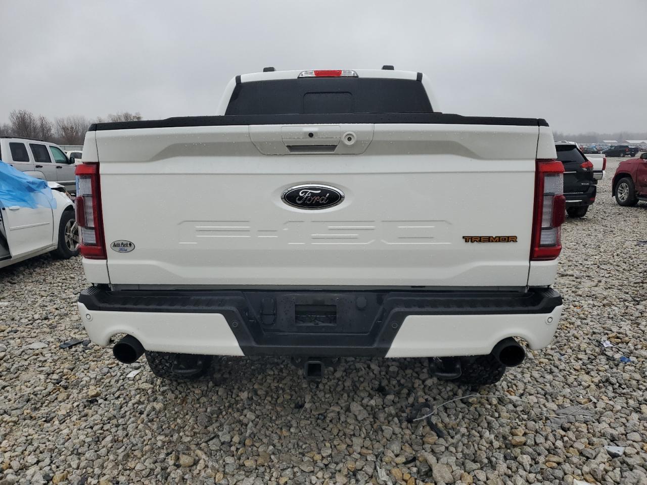 2023 Ford F-150 VIN 1FTEW1E89PFD12219 Copart auction photo, front end damage thumbnail 6