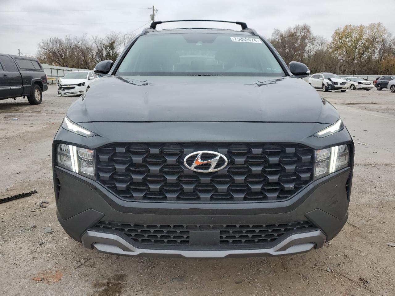2023 Hyundai Santa Fe VIN 5NMS6DAJXPH600301 Copart auction photo, hail / minor dent/scratches damage thumbnail 5