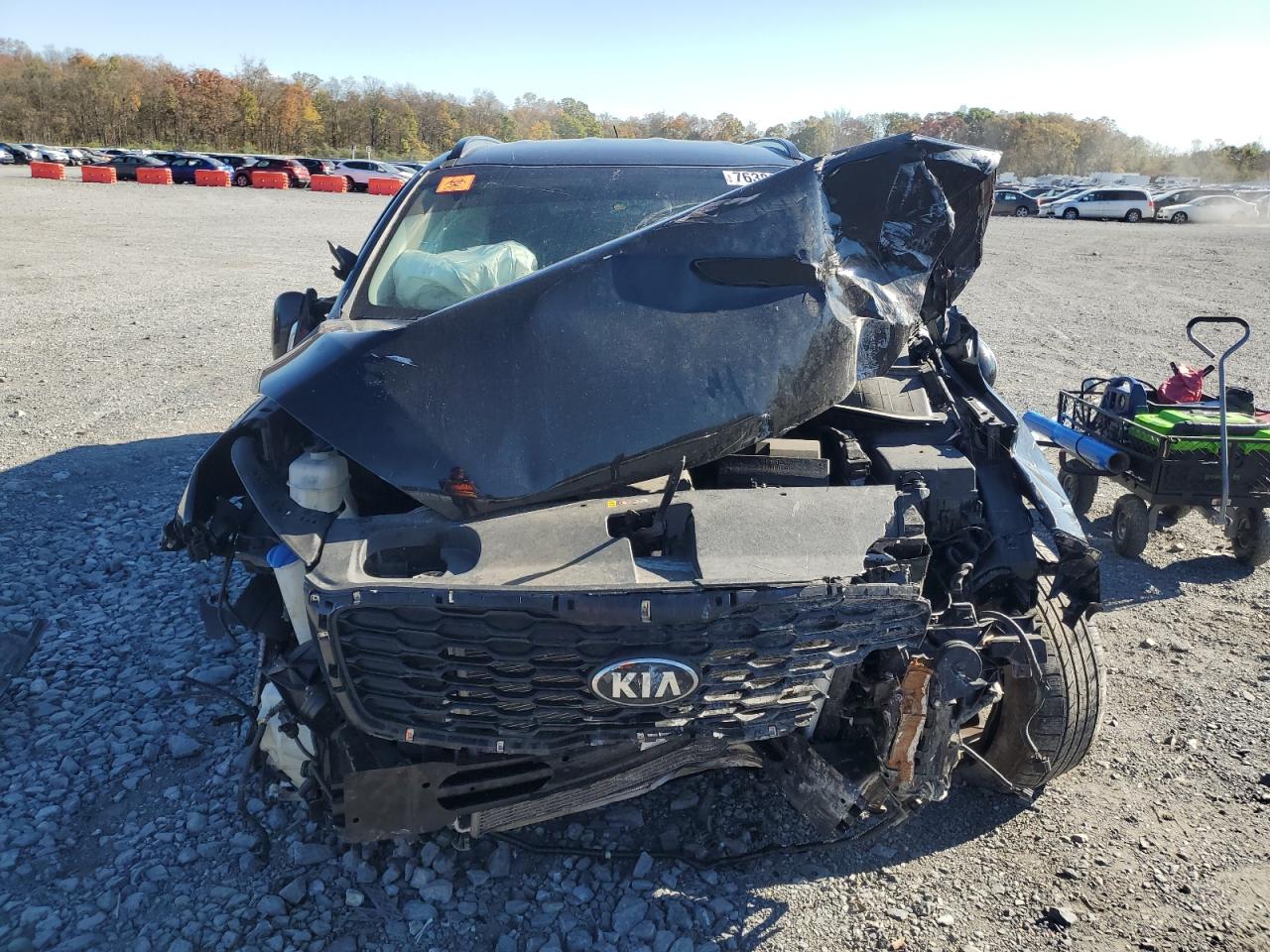 2019 KIA Sorento VIN 5XYPG4A59KG589526 Copart auction photo, all over damage thumbnail 5