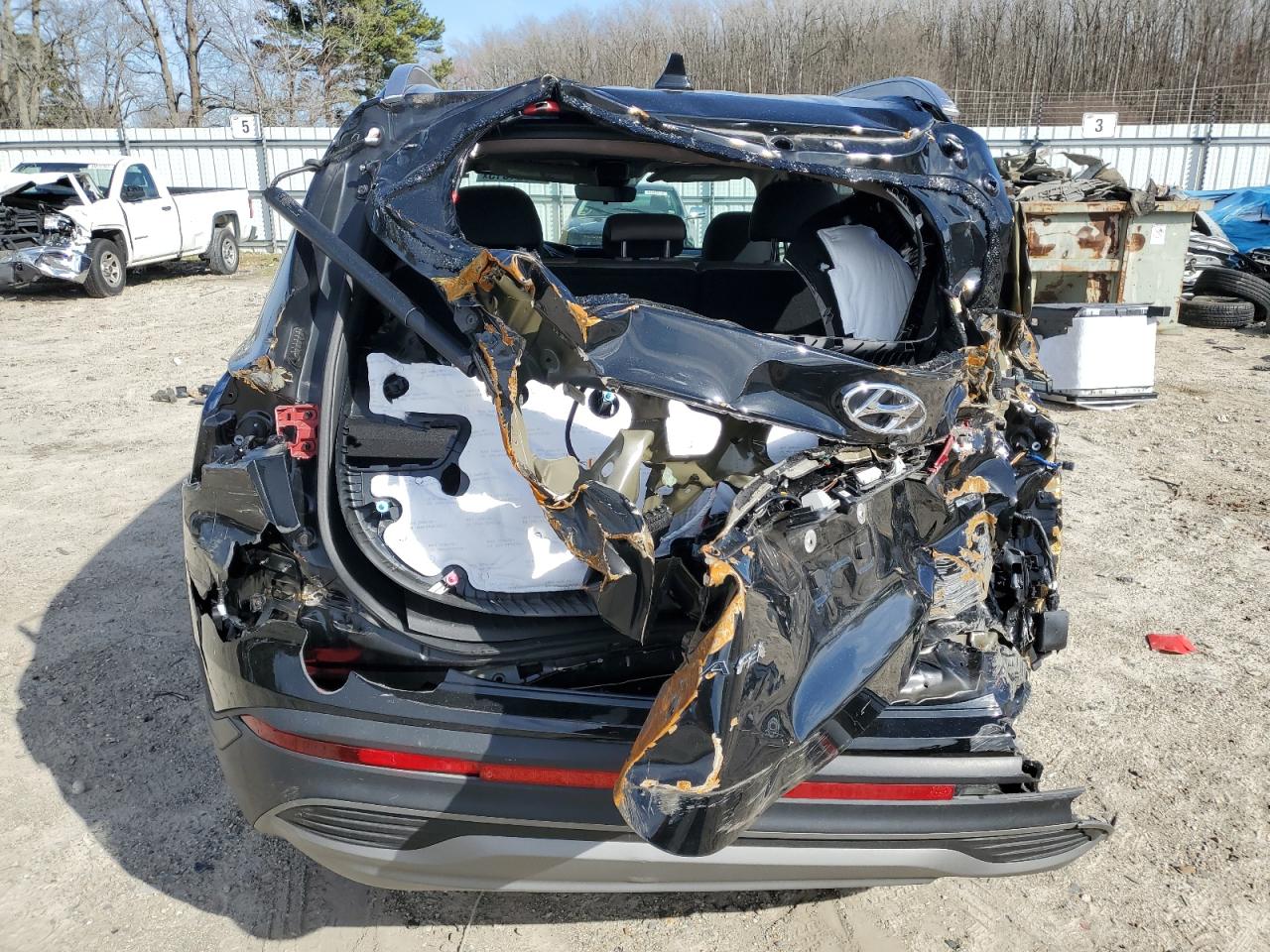 2023 Hyundai Santa Fe VIN 5NMS2DAJ0PH651544 Copart auction photo, biohazard/chemical / all over damage thumbnail 6