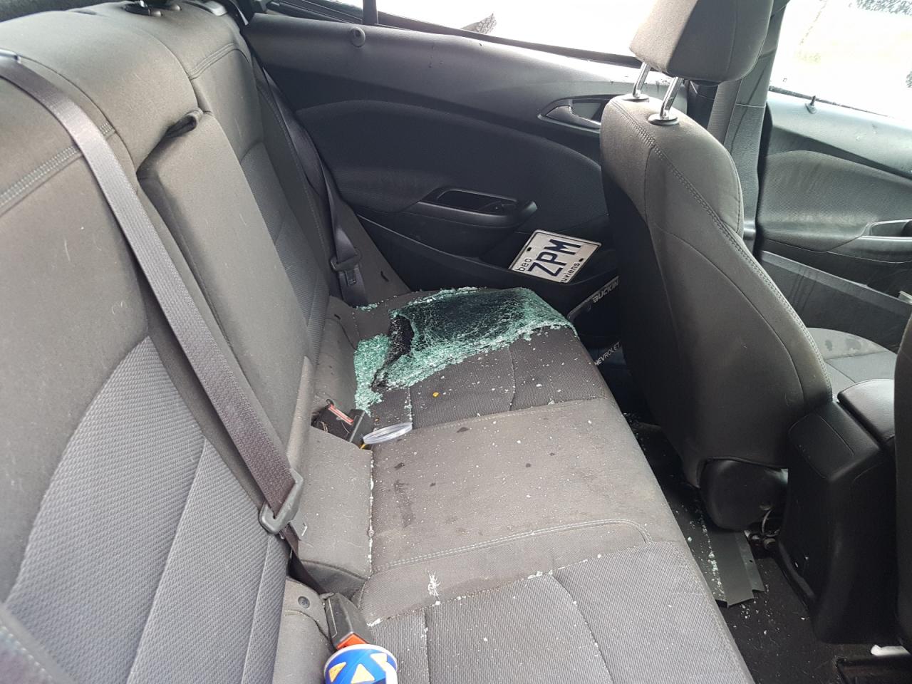 2017 Chevrolet Cruze VIN 1G1BE5SM1H7194816 Copart auction photo, all over damage thumbnail 10