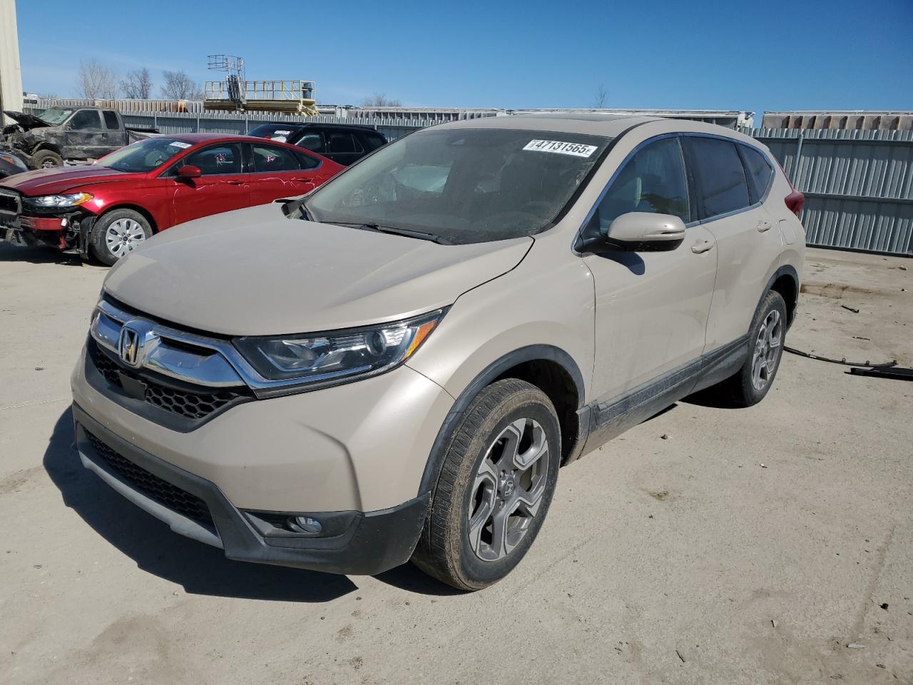 2017 Honda CR-V VIN 5J6RW2H55HL019035 - Copart auction photo