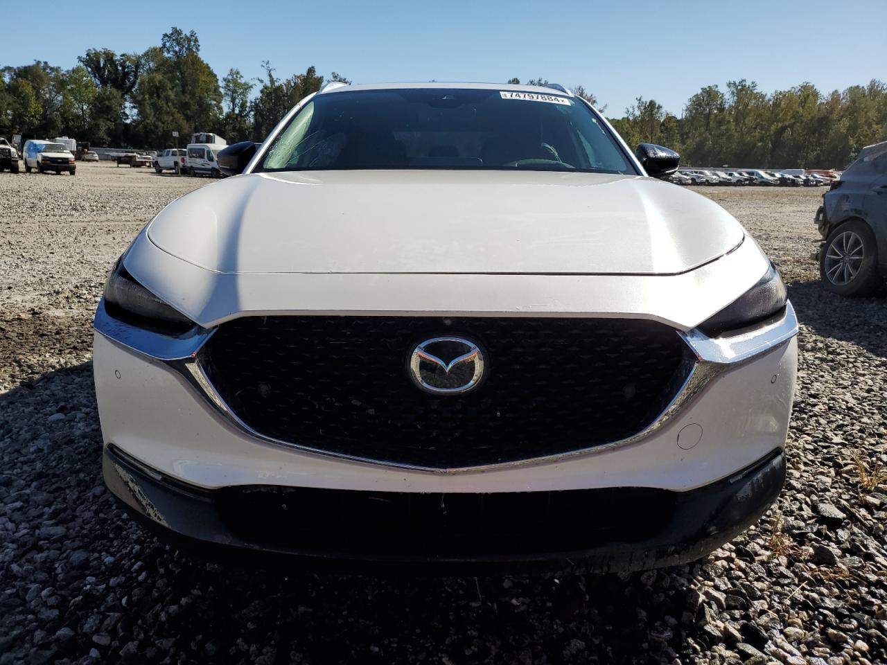 2022 Mazda CX-30 VIN 3MVDMBEY2NM446847 Copart auction photo, water/flood damage thumbnail 5