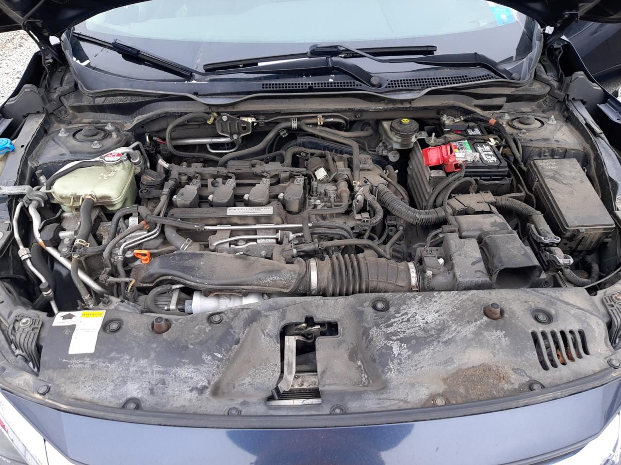 2016 Honda Civic VIN 19XFC1F70GE003591 Copart auction photo, side damage thumbnail 11