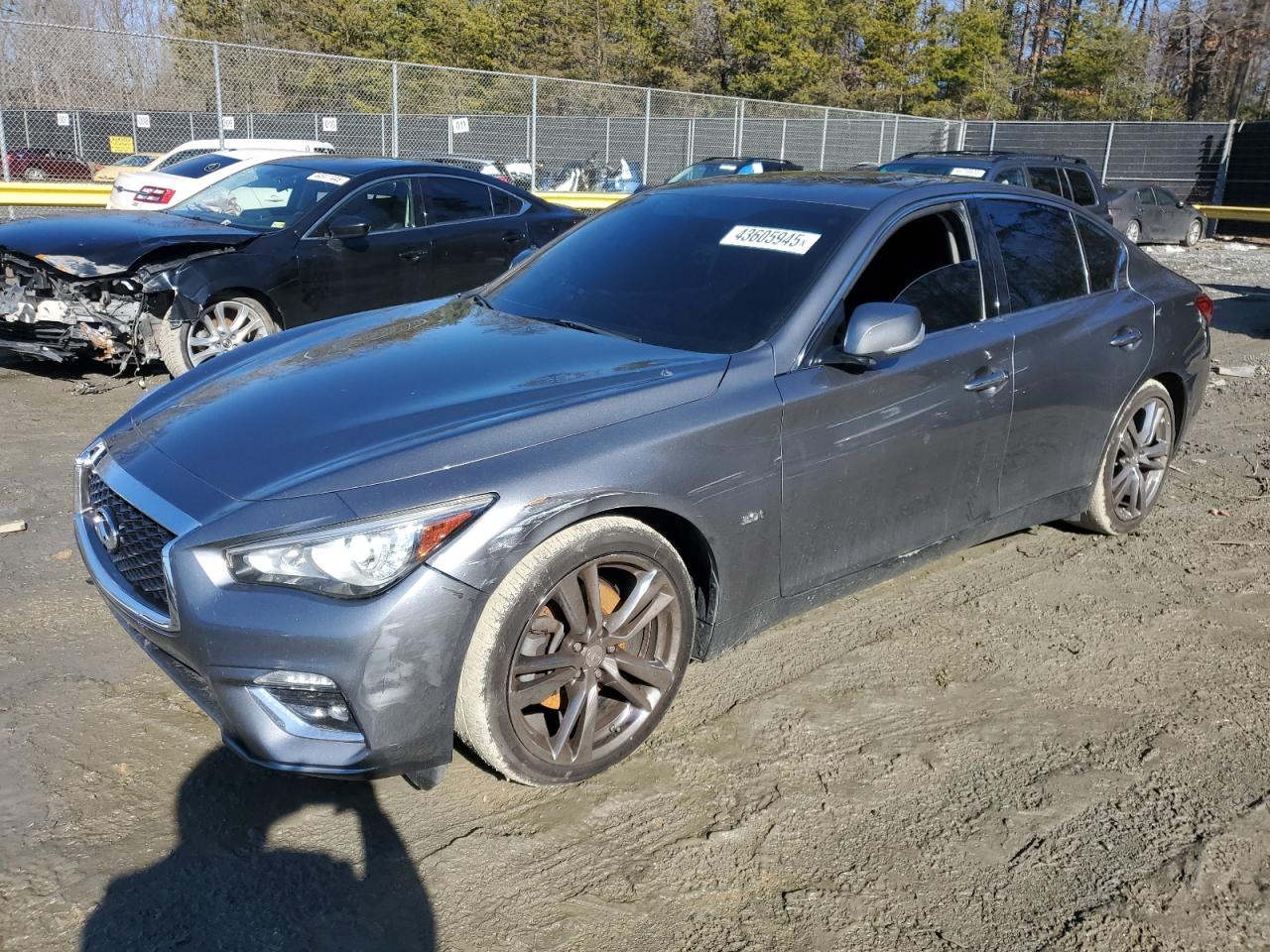 2019 Infiniti Q50 VIN JN1EV7AR5KM555764