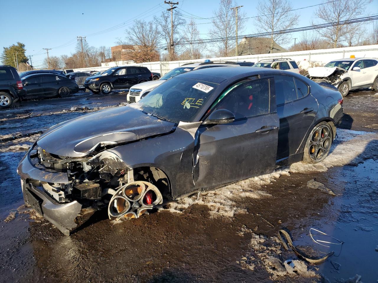 2022 Alfa Romeo Giulia VIN ZARFANBN0N7659259 - Copart auction photo