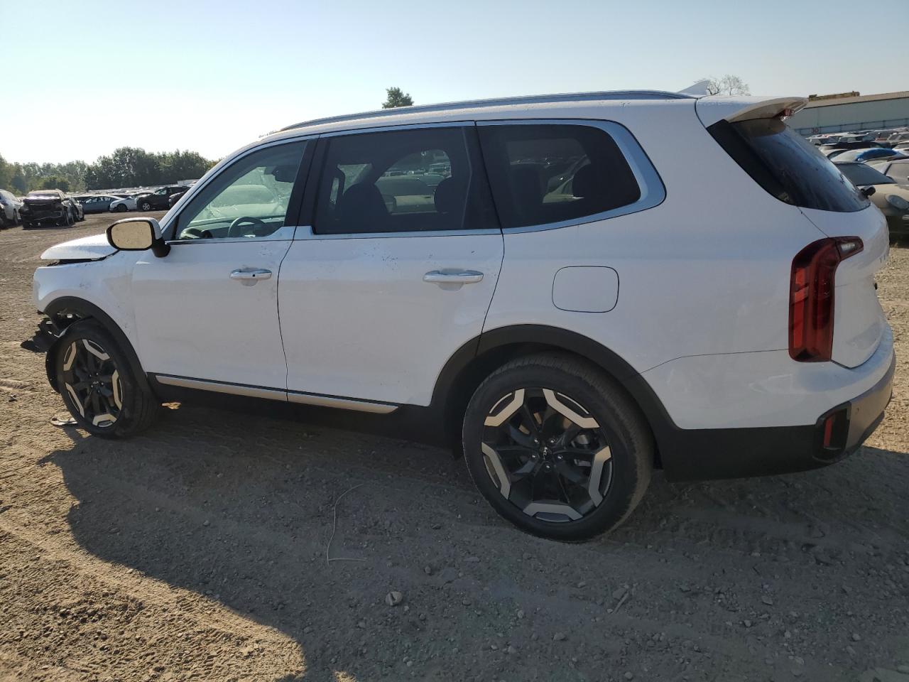 2024 KIA Telluride VIN 5XYP6DGC7RG556771 Copart auction photo, front end damage thumbnail 2