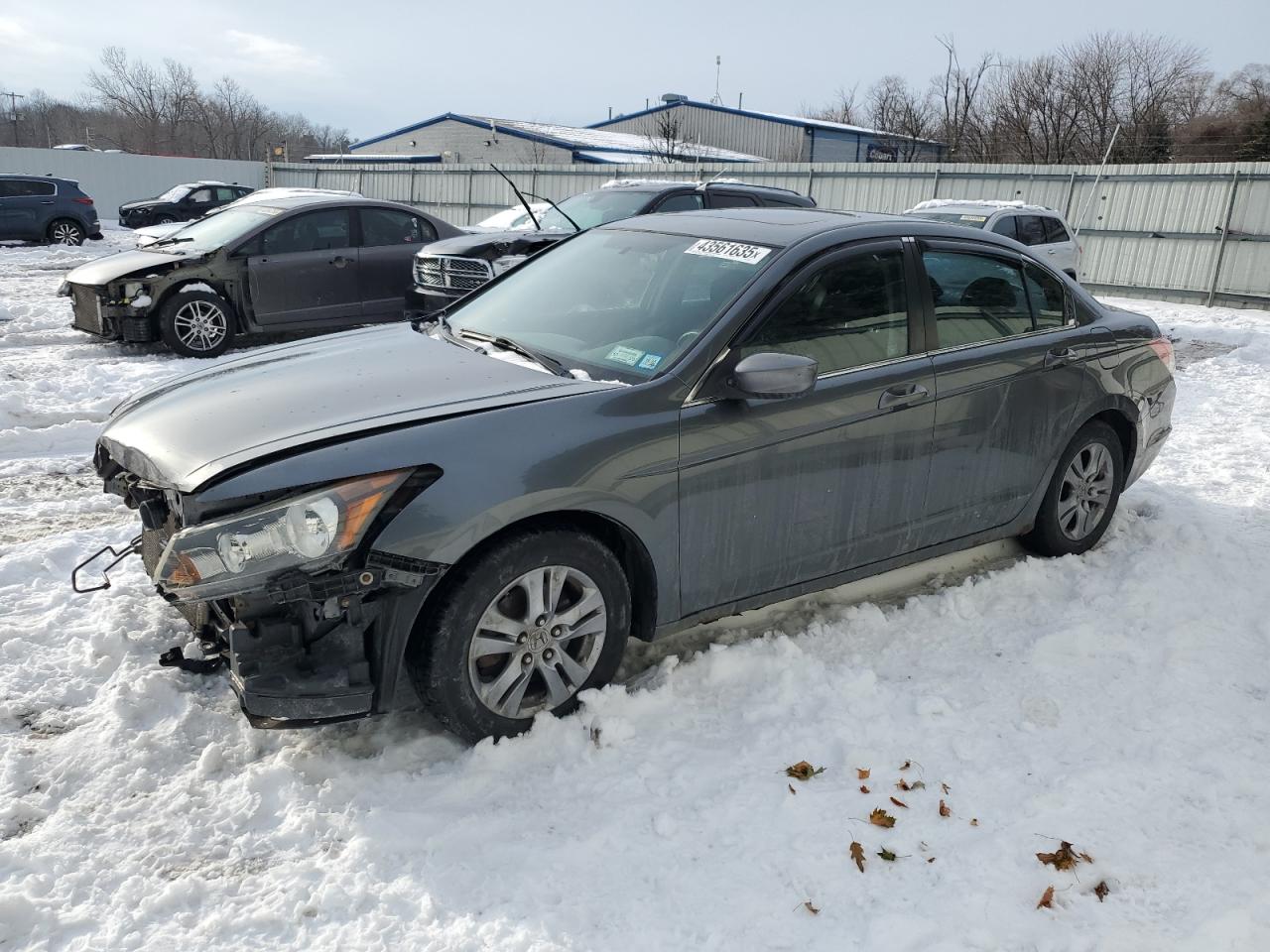 2010 Honda Accord VIN 1HGCP2E79AA075383