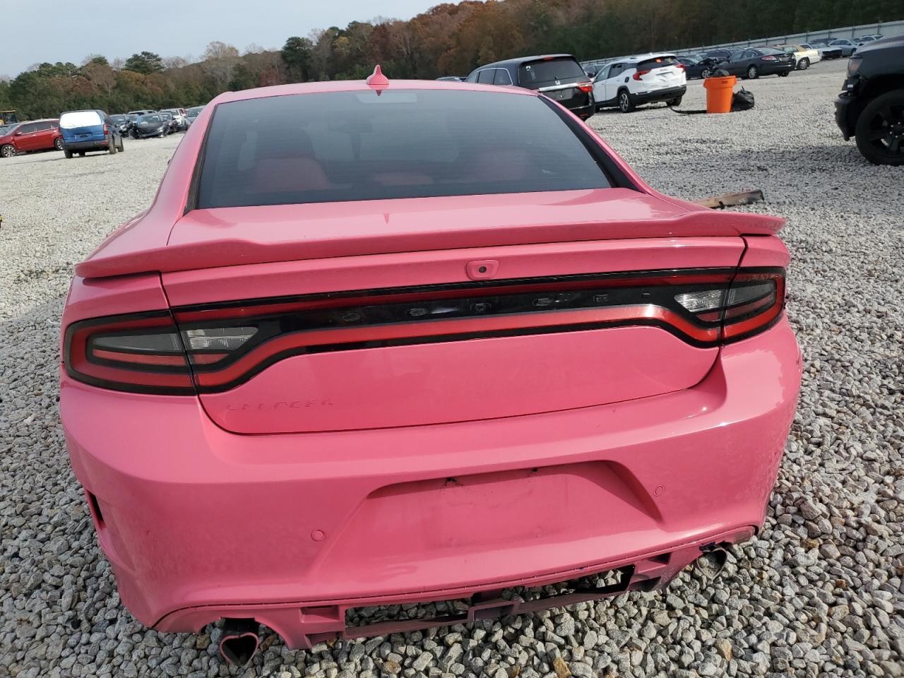 2020 Dodge Charger VIN 2C3CDXCT6LH193260 Copart auction photo, all over damage thumbnail 6