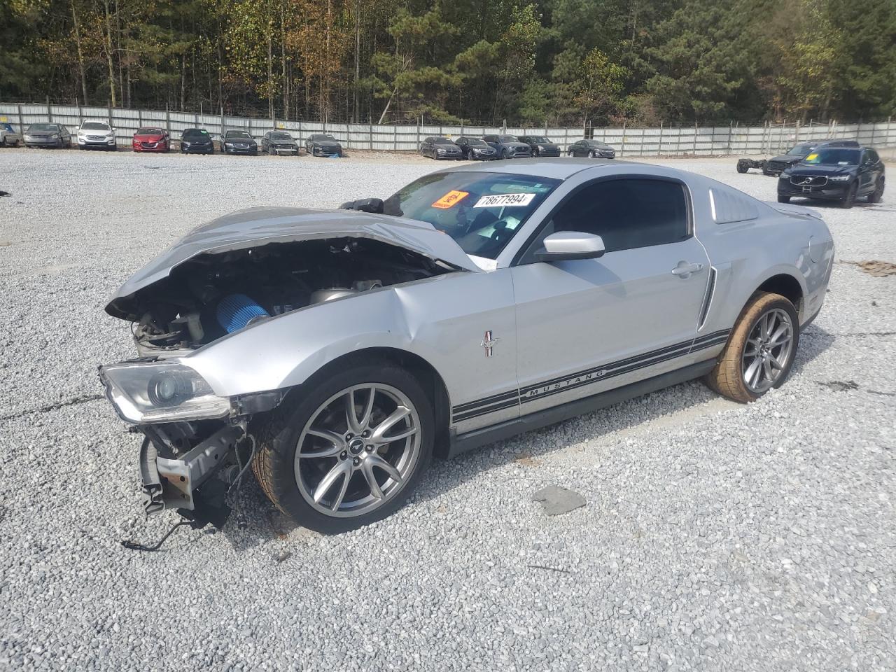 2010 Ford Mustang VIN 1ZVBP8AN9A5151398