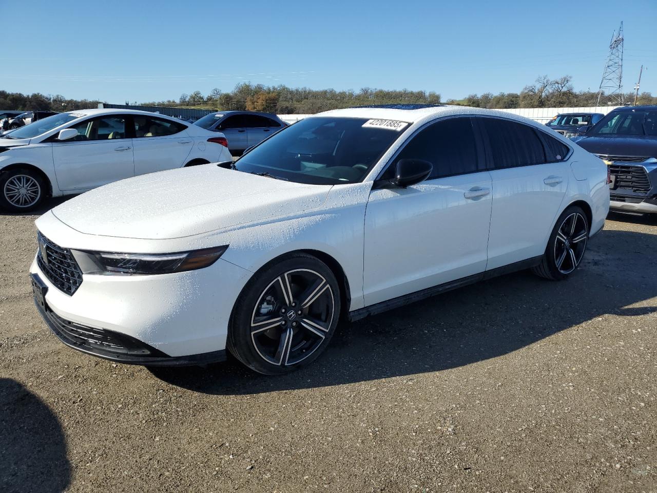 2024 Honda Accord VIN 1HGCY2F56RA044291