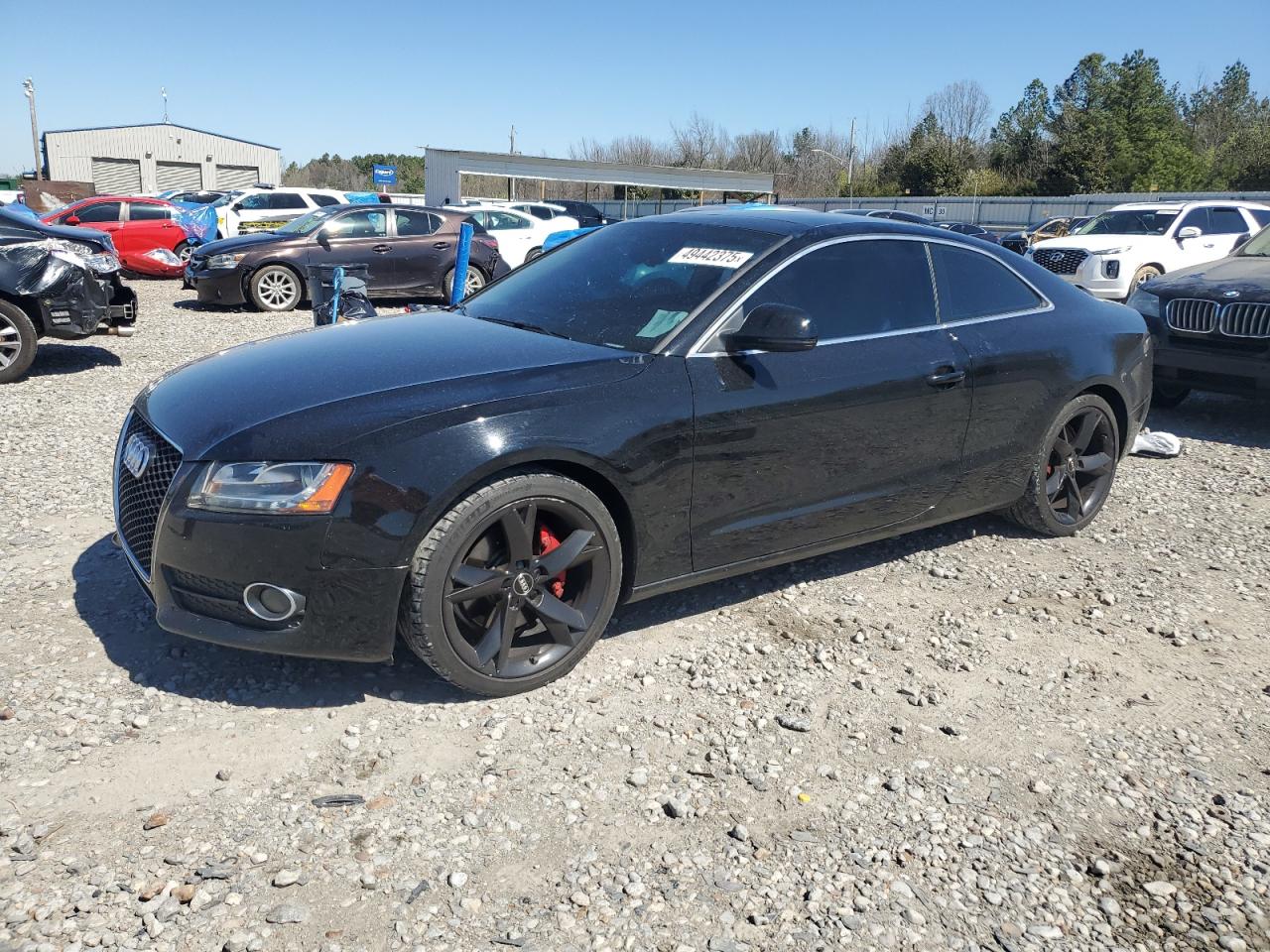 2009 Audi A5 VIN WAUDK78T79A031317 - Copart auction photo