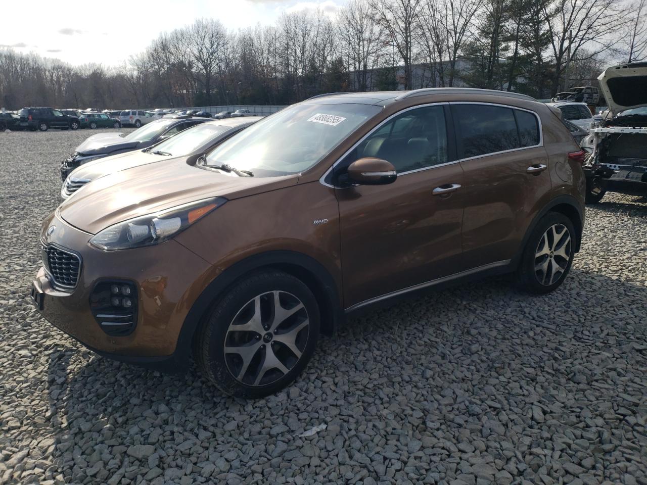 2017 KIA Sportage VIN KNDPRCA66H7093618