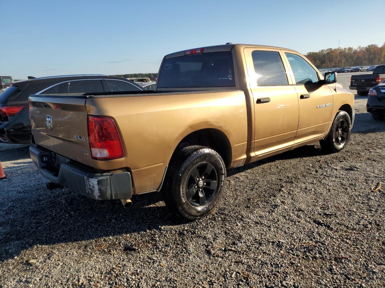2012 Dodge RAM VIN 1C6RD7KP0CS296281 Copart auction photo, side damage thumbnail 3
