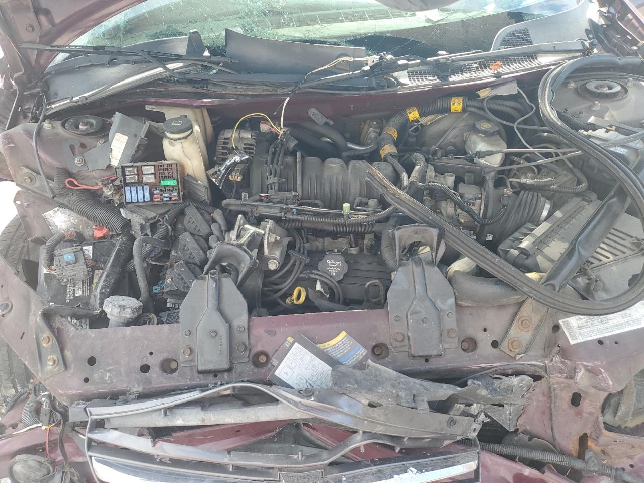 2004 Chevrolet Impala VIN 2G1WH52K849118350 Copart auction photo, front end / side damage thumbnail 14