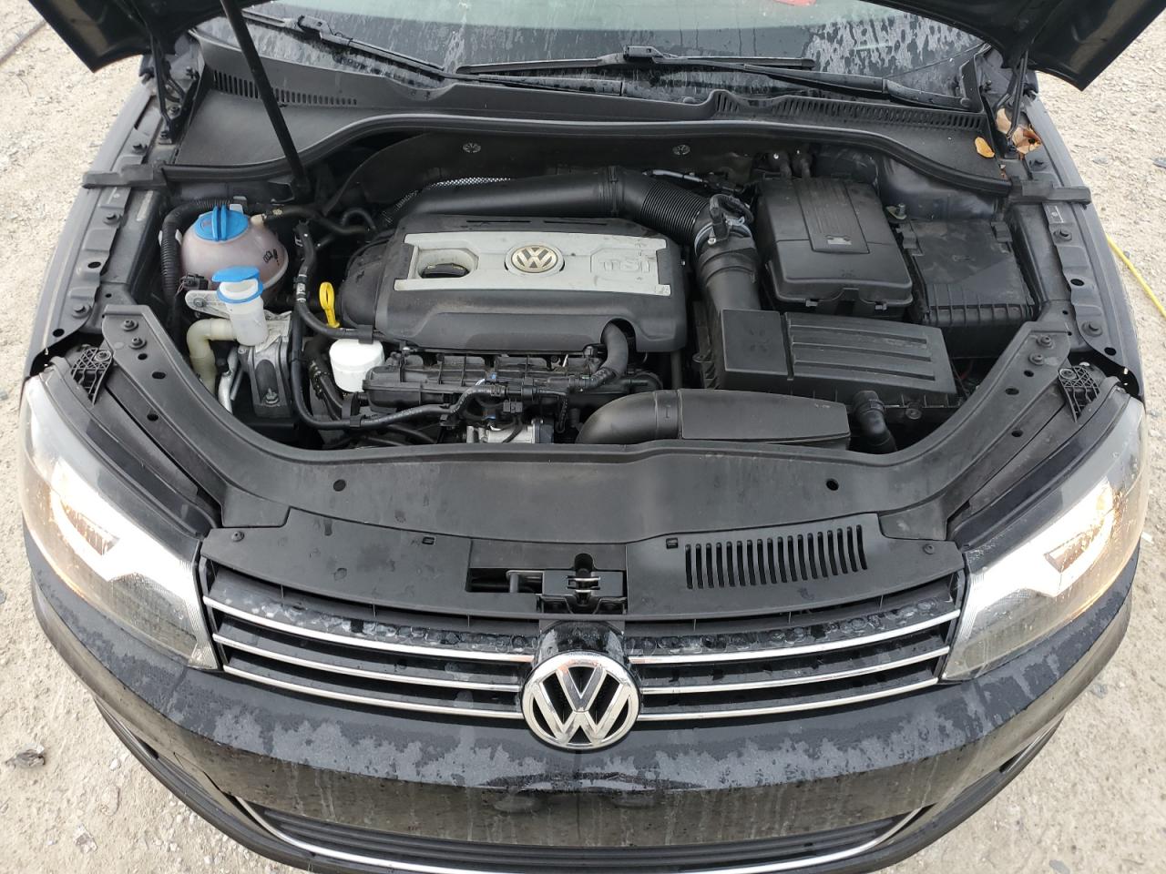 2016 Volkswagen Eos VIN WVWBW8AH3GV000923 Copart auction photo, rear end damage thumbnail 11