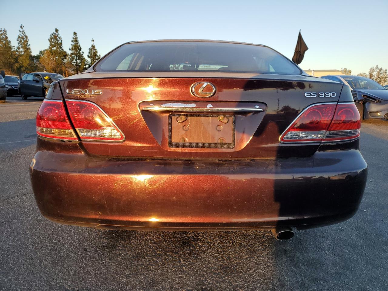 2005 Lexus ES VIN JTHBA30G155121813 Copart auction photo, front end / side damage thumbnail 6