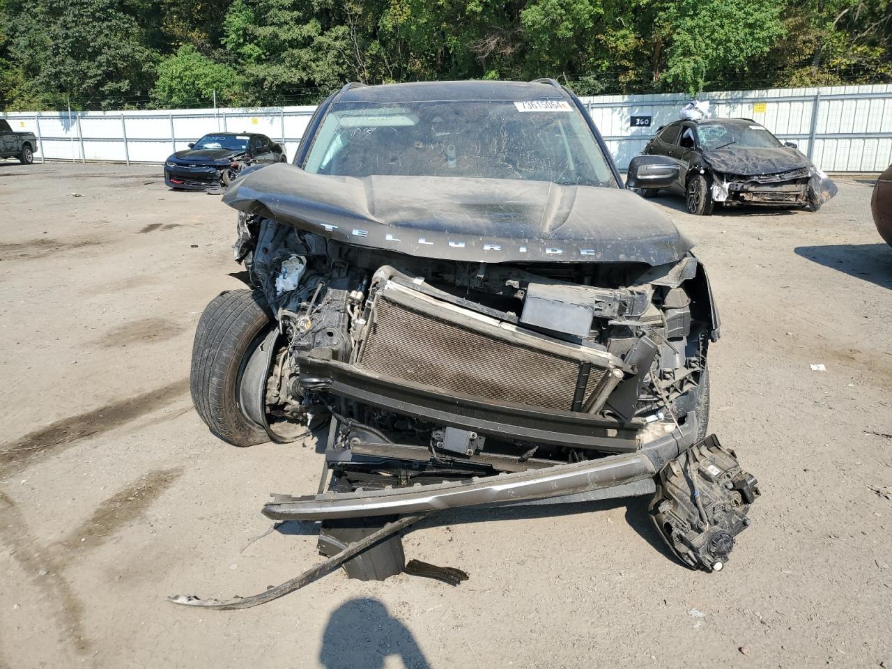 2020 KIA Telluride VIN 5XYP6DHC5LG019547 Copart auction photo, front end damage thumbnail 5