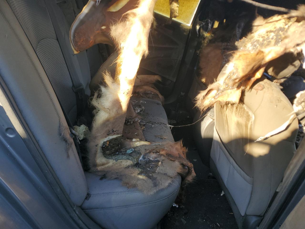2011 Hyundai Sonata VIN 5NPEB4AC9BH097088 Copart auction photo, burn damage thumbnail 10