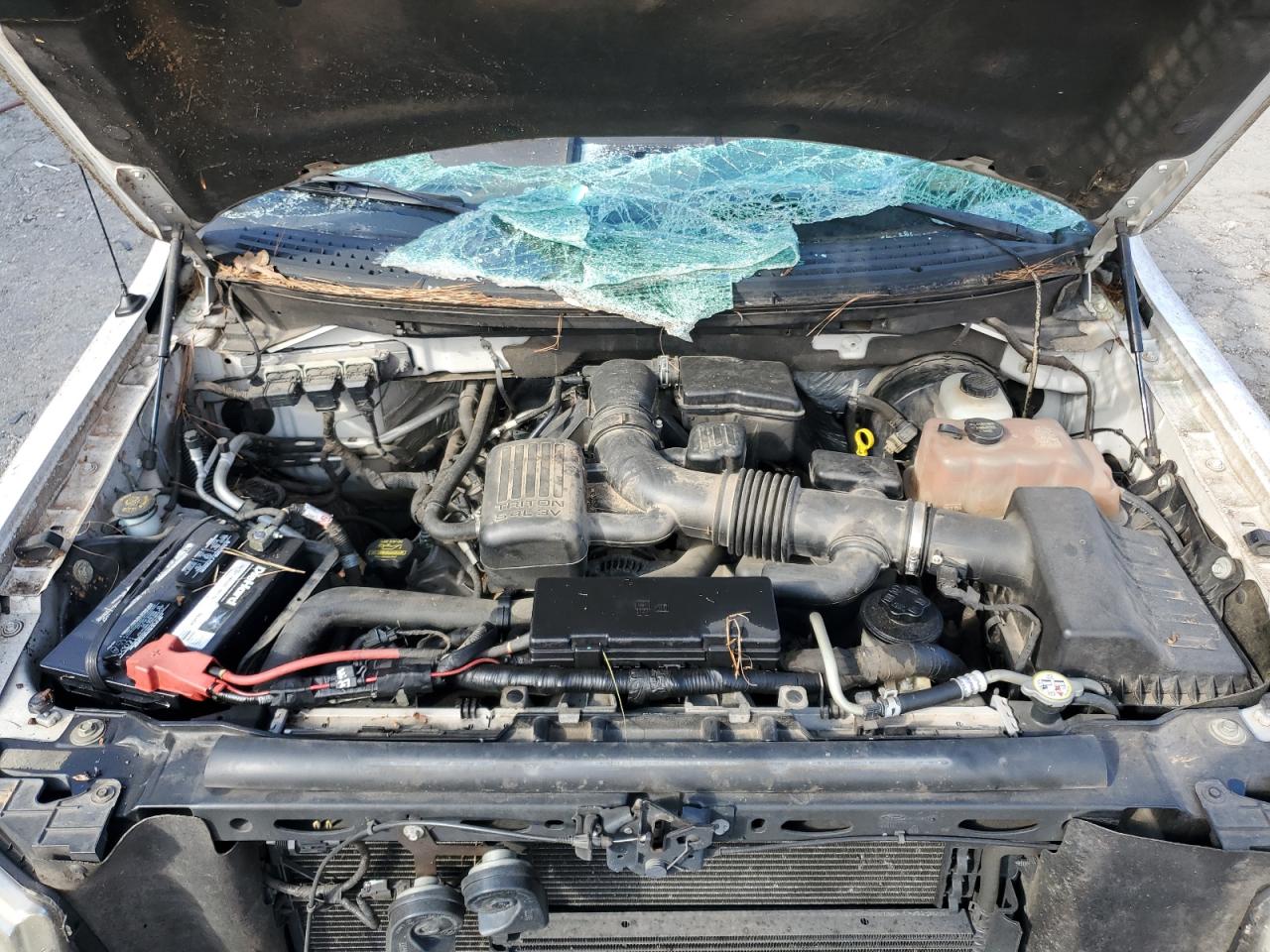 2010 Ford F-150 VIN 1FTFW1CV5AFC14423 Copart auction photo, rollover damage thumbnail 11