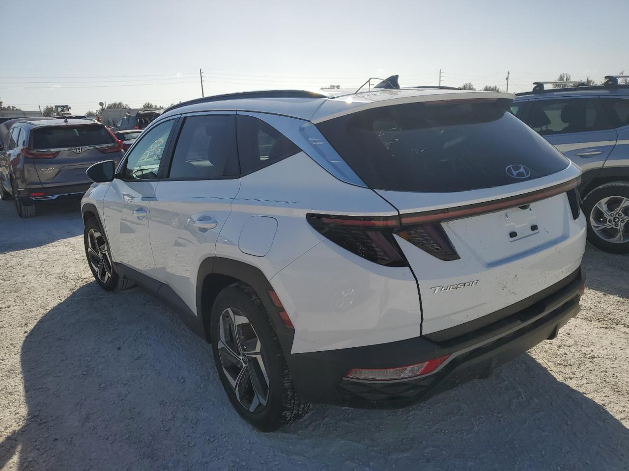 2024 Hyundai Tucson VIN 5NMJF3DE5RH358511 Copart auction photo, water/flood damage thumbnail 2