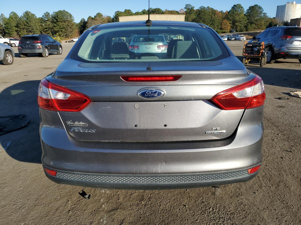 2013 Ford Focus VIN 1FADP3F24DL359398 Copart auction photo, side damage thumbnail 6