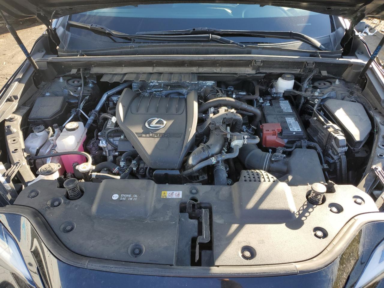 2023 Lexus NX VIN 2T2AGCEZ9PC030165 Copart auction photo, hail damage thumbnail 12