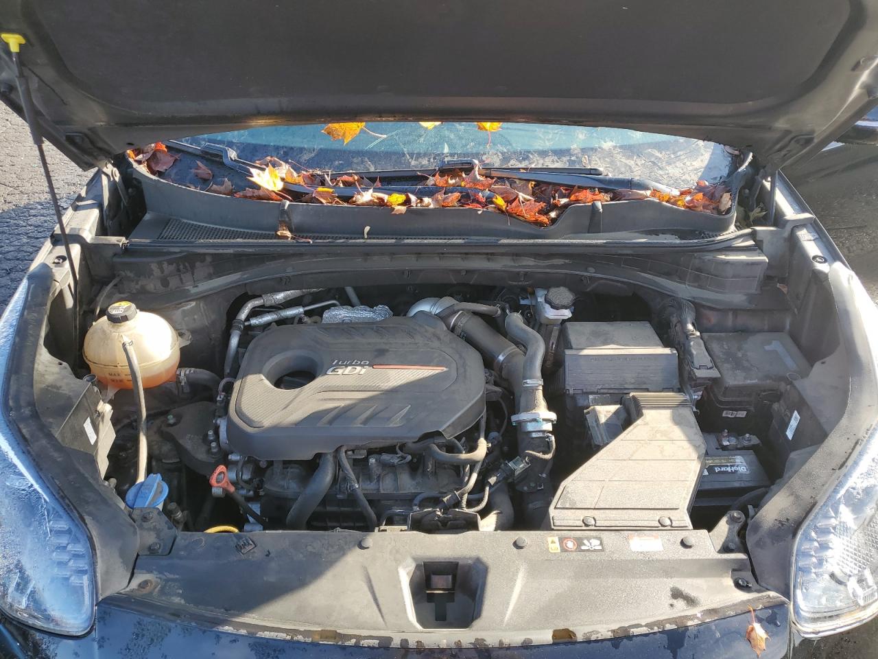 2022 KIA Sportage VIN KNDPRCA62N7993640 Copart auction photo, rear end / side damage thumbnail 12