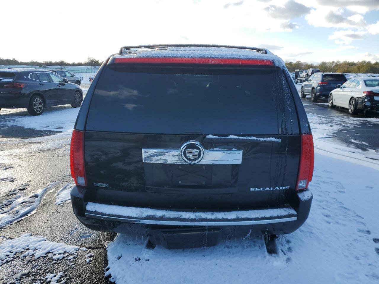 2010 Cadillac Escalade VIN 1GYUKHEF5AR156159 Copart auction photo, minor dent/scratches damage thumbnail 6