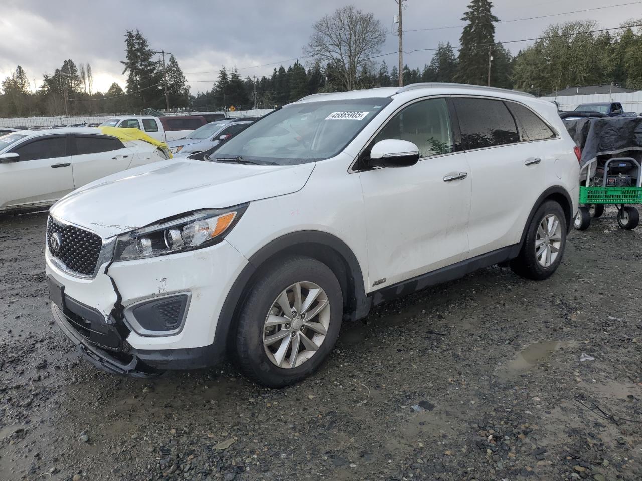 2016 KIA Sorento VIN 5XYPGDA39GG046649