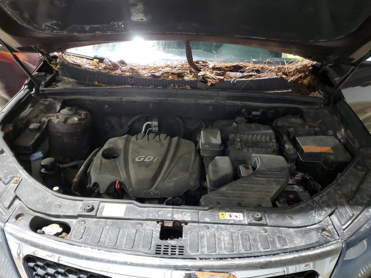 2013 KIA Sorento VIN 5XYKT3A68DG404572 Copart auction photo, rear end / mechanical damage thumbnail 13