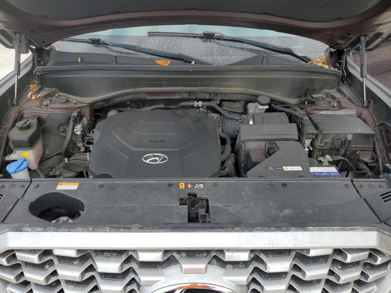 2021 Hyundai Palisade VIN KM8R34HE5MU285388 Copart auction photo, rear end damage thumbnail 13
