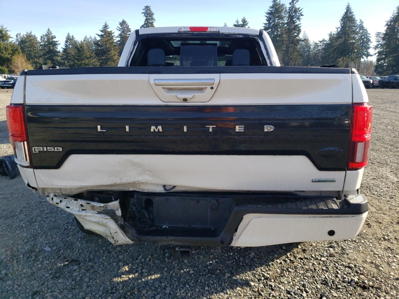 2018 Ford F-150 VIN 1FTEW1EG8JFC05547 Copart auction photo, rear end / side damage thumbnail 6