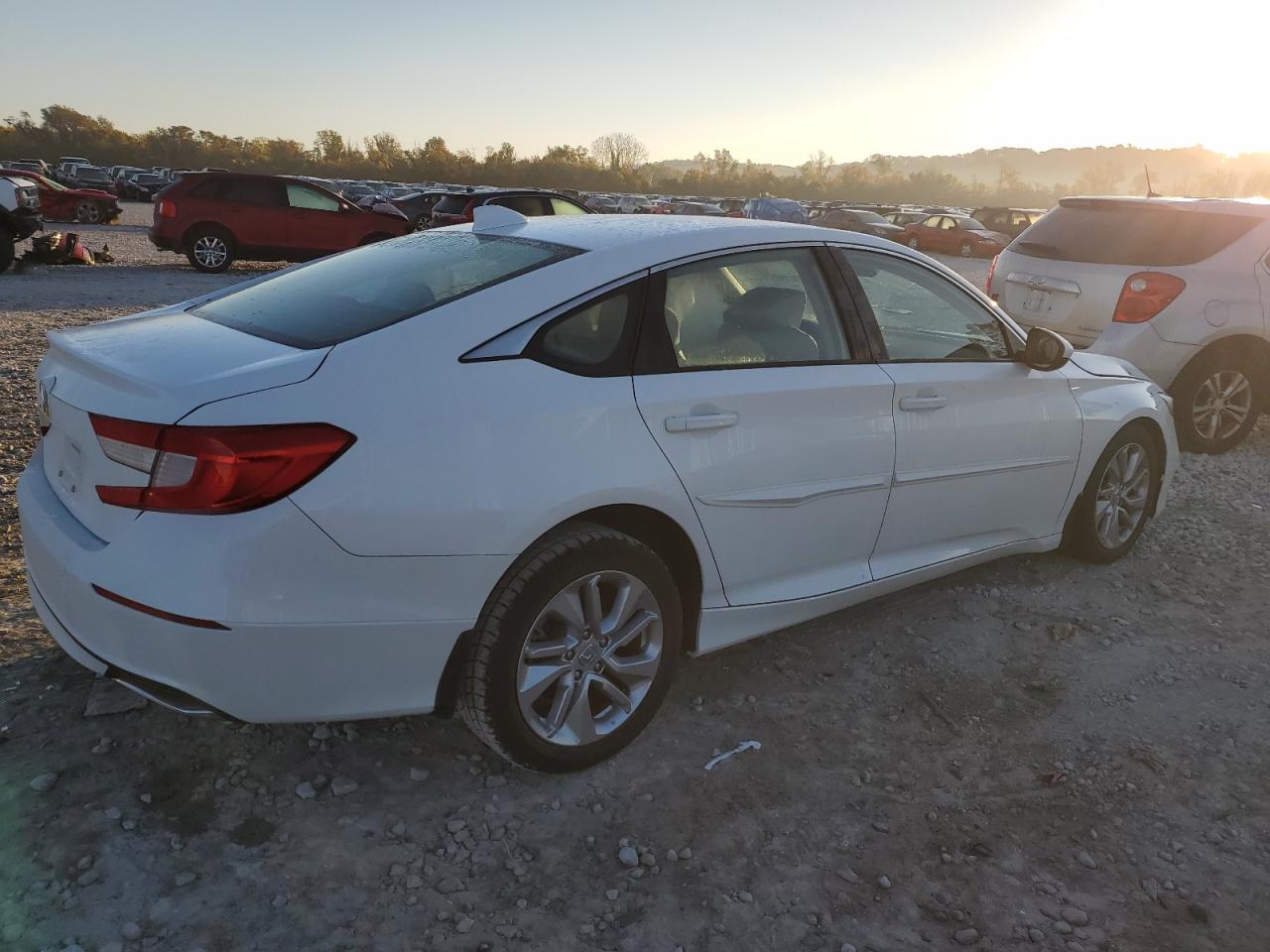 2020 Honda Accord VIN 1HGCV1F16LA150246 Copart auction photo, side damage thumbnail 3