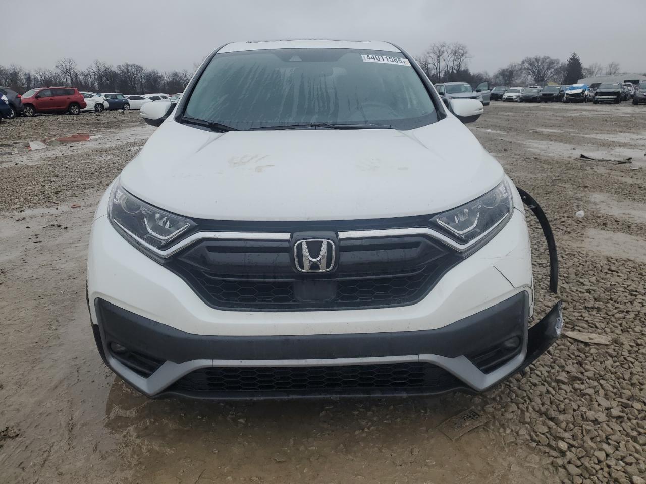 2021 Honda CR-V VIN 5J6RW2H82ML009180 Copart auction photo, front end damage thumbnail 5
