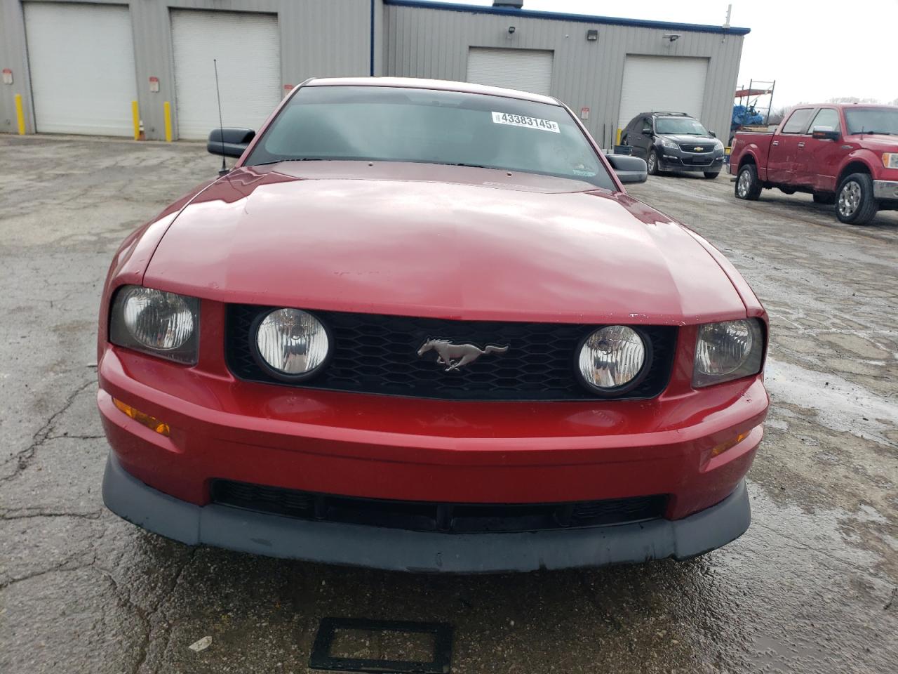 2005 Ford Mustang VIN 1ZVFT82H555100718 Copart auction photo, rear end / hail damage thumbnail 5