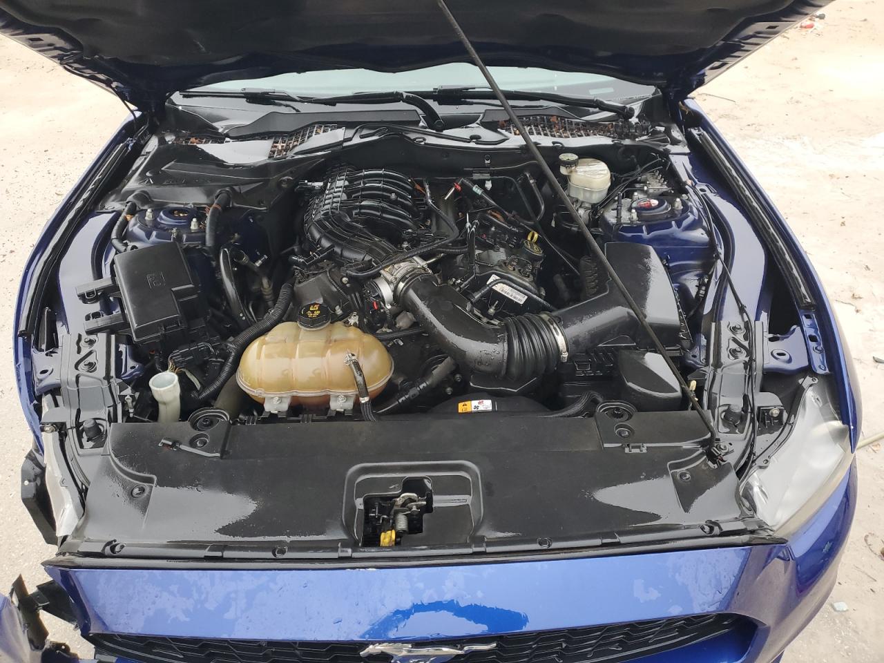 2015 Ford Mustang VIN 1FA6P8AM8F5321985 Copart auction photo, front end / minor dent/scratches damage thumbnail 11