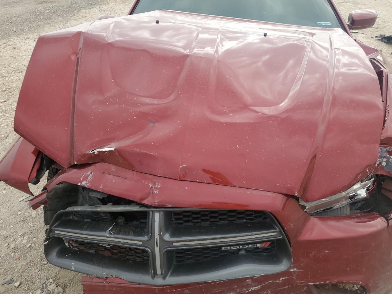2014 Dodge Charger VIN 2C3CDXHG9EH219610 Copart auction photo, front end damage thumbnail 13