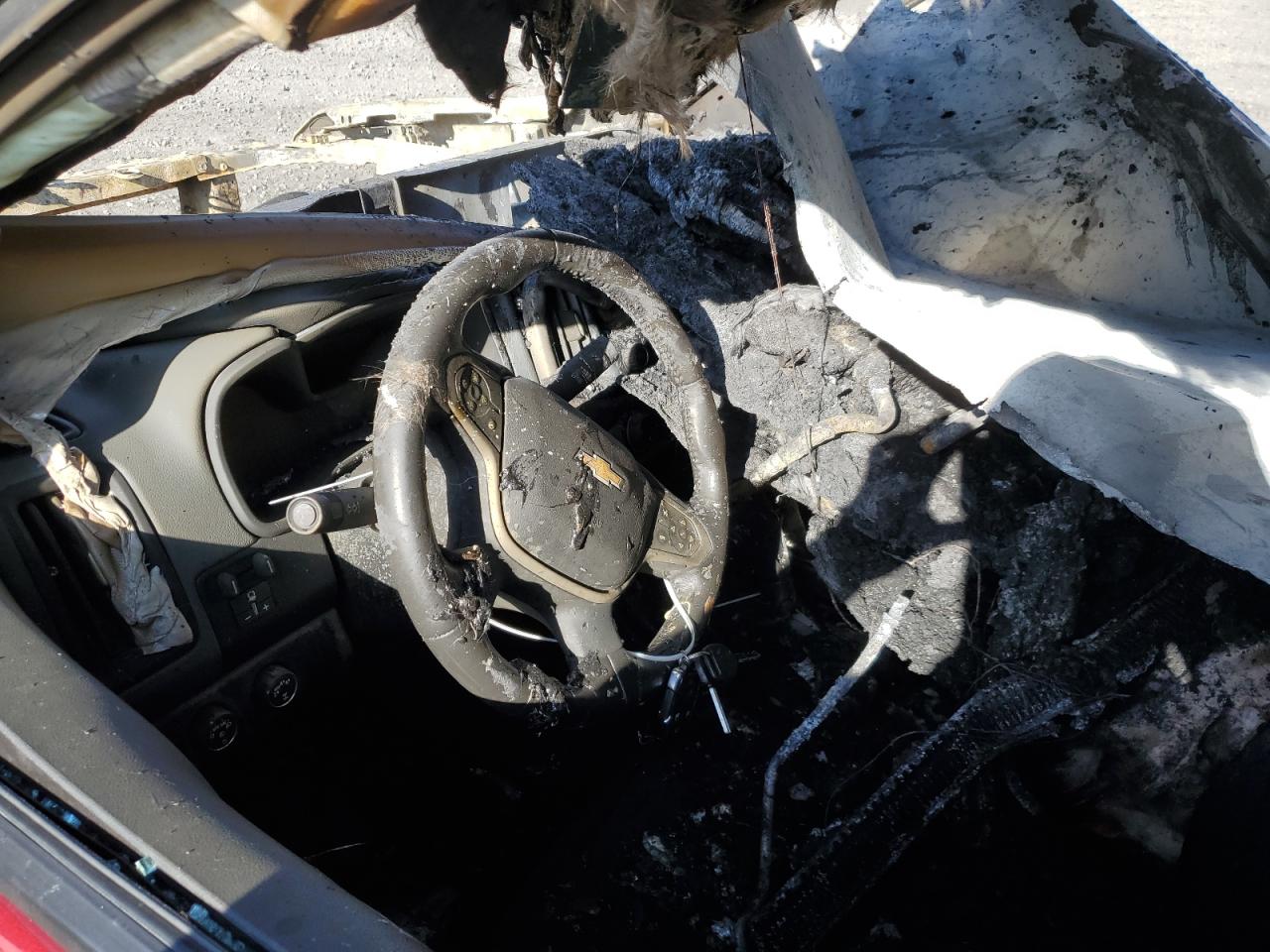 2019 Chevrolet Colorado VIN 1GCGTDEN3K1317382 Copart auction photo, burn damage thumbnail 8