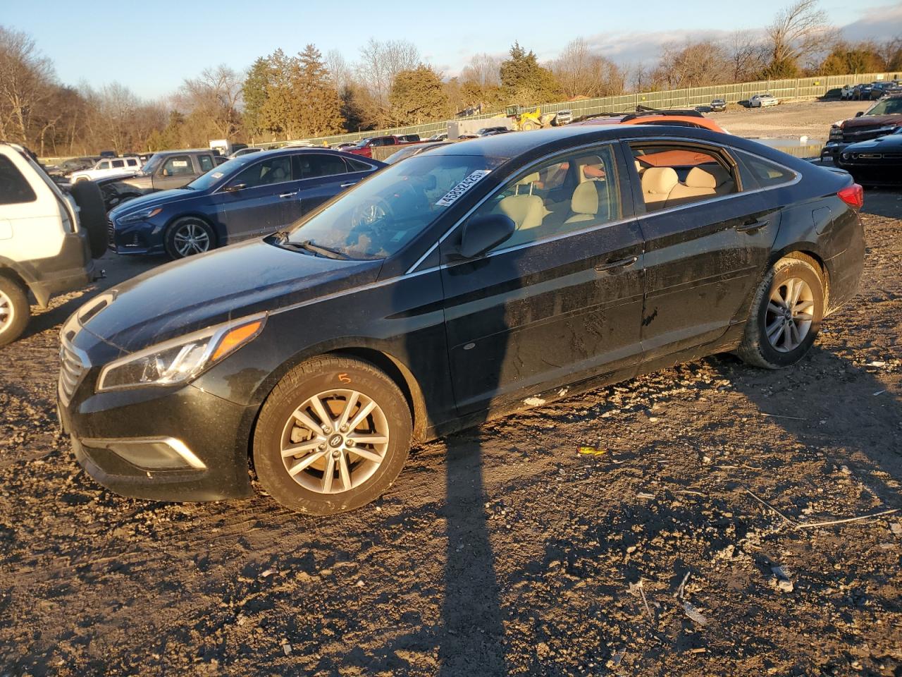 2016 Hyundai Sonata VIN 5NPE24AF7GH436030
