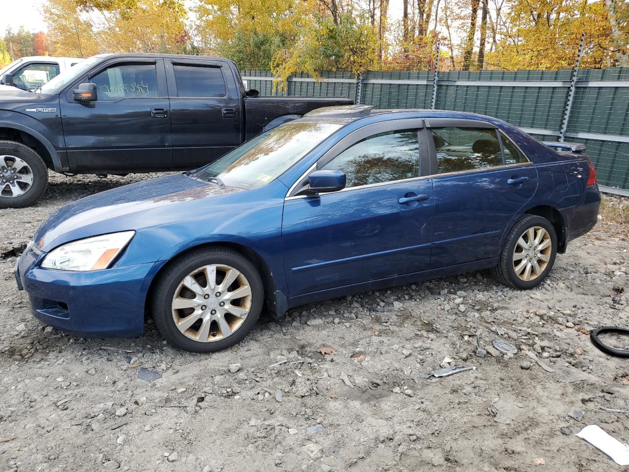 2006 Honda Accord VIN 1HGCM66506A002763